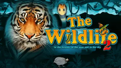 the wildlife 2 730x500 1